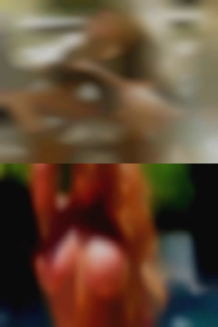 Sex fuck in Pulaski nude.